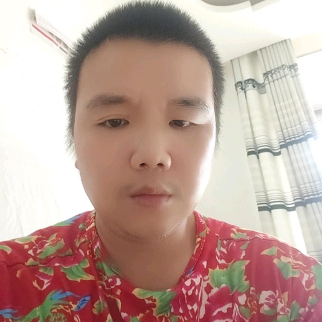 波波总2