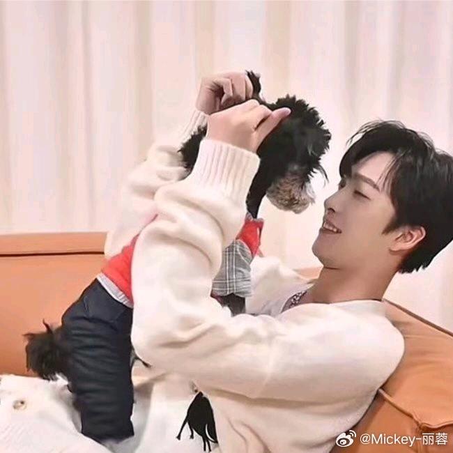 🐬宇过添情🐬