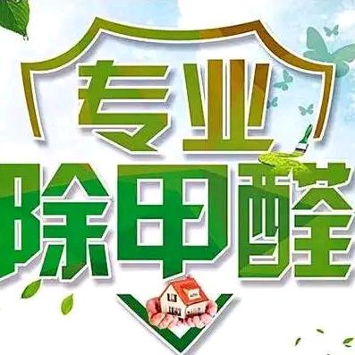 小陈除甲醛