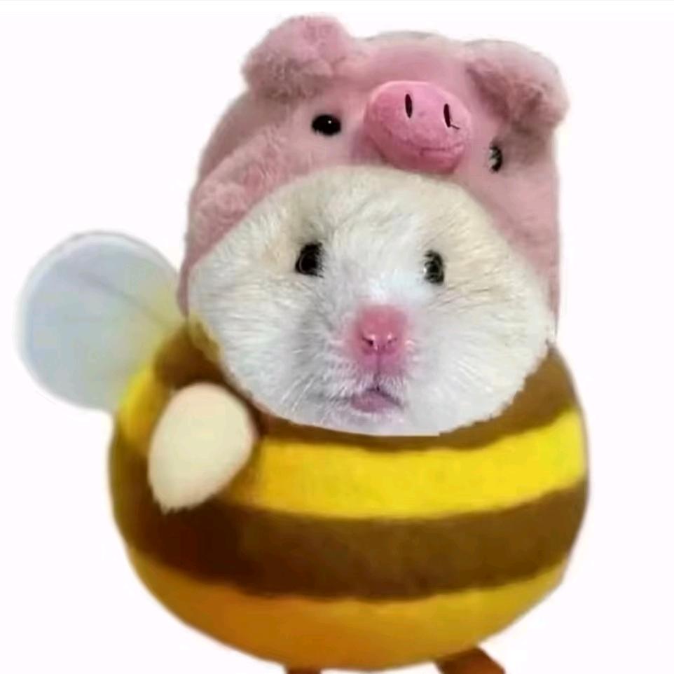 小红豆豆豆👾³¹⁰