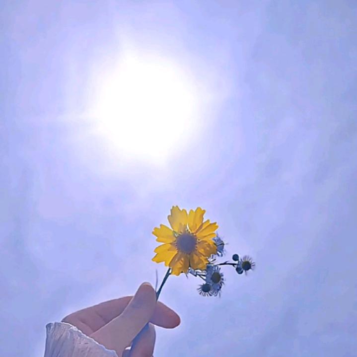 L .  彤