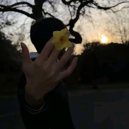 单手开挖机倒入库