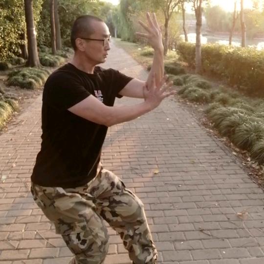 心意拳（丹哥）