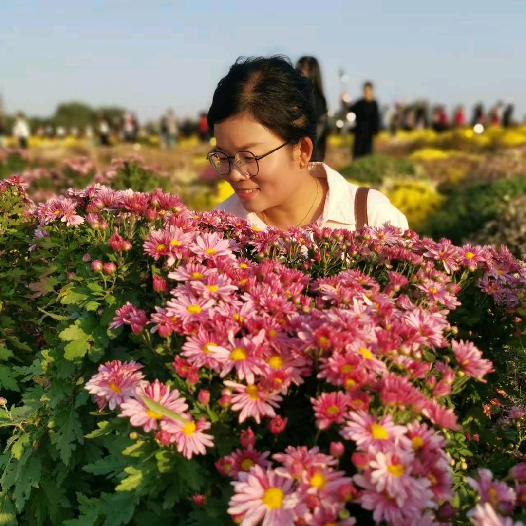 挖机钣金件拆车件，任艳