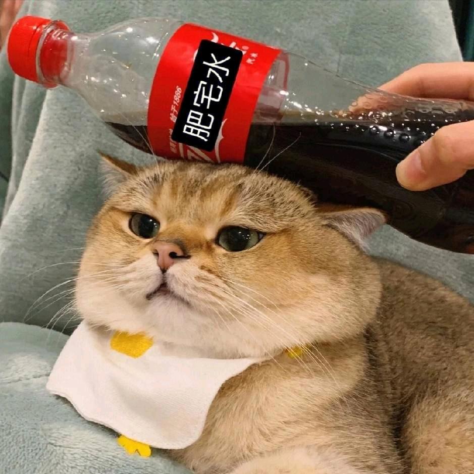 是小黑呀
