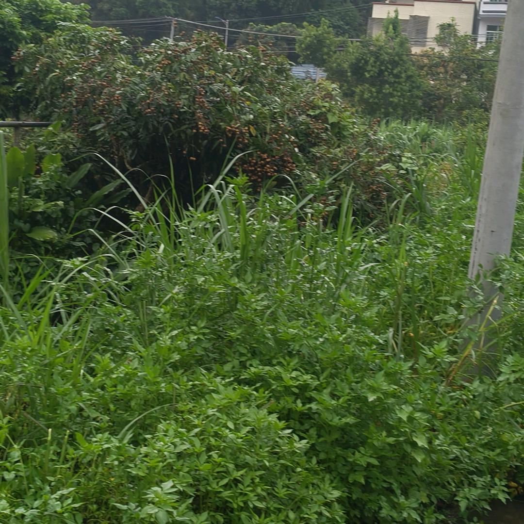 沫沫小孩👶🏻