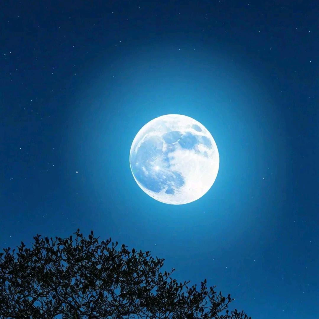 ✨️珎嘻✨️🎖