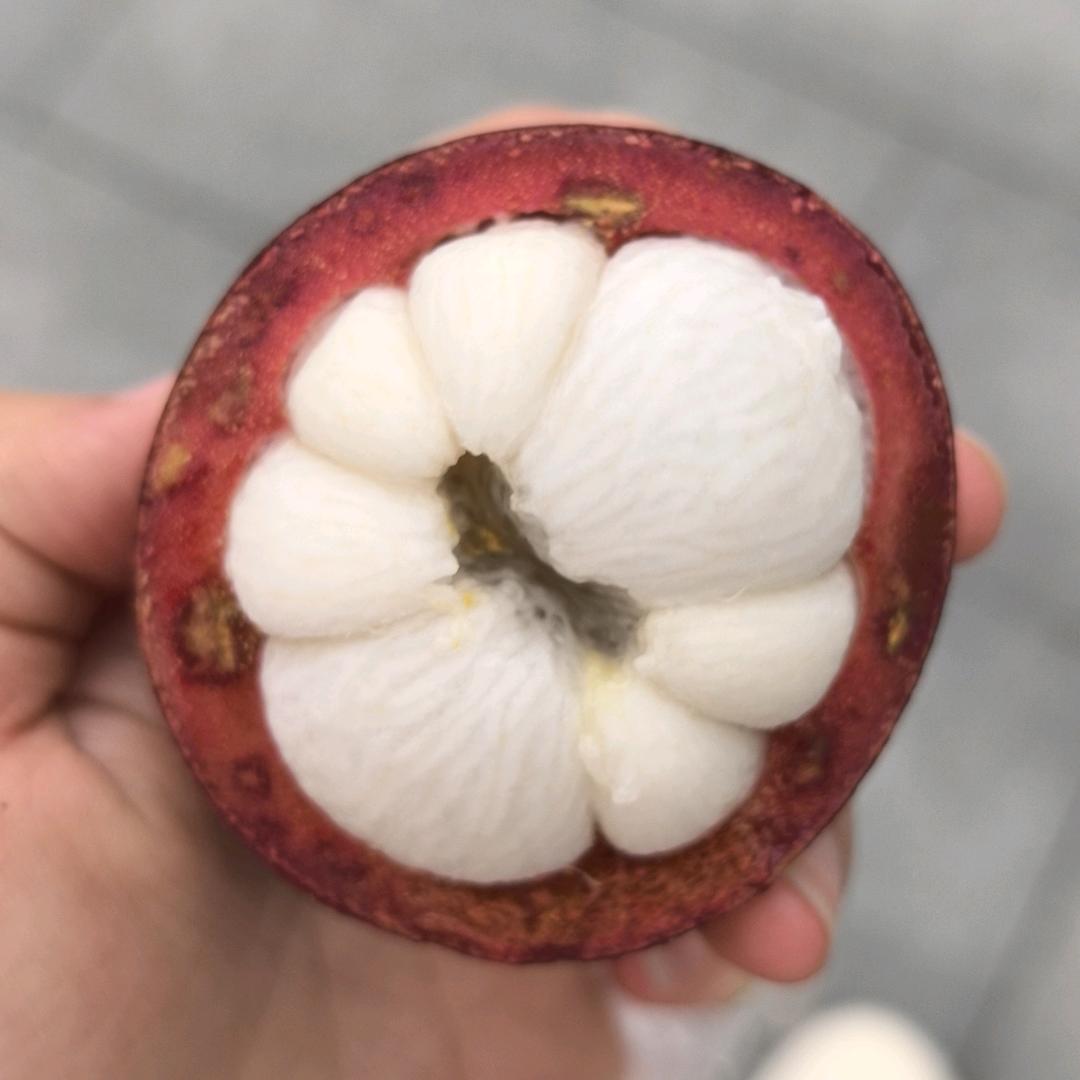 乐小可
