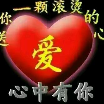 不离不弃