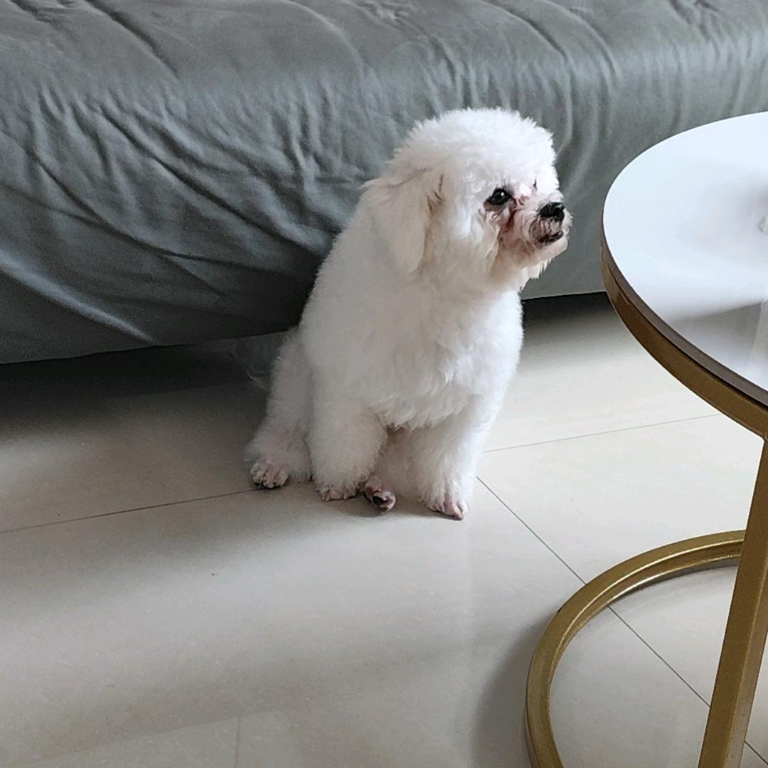 救赎～