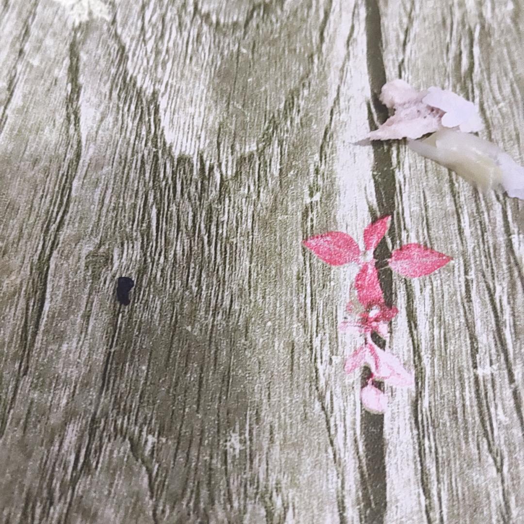 安慕希补充营养