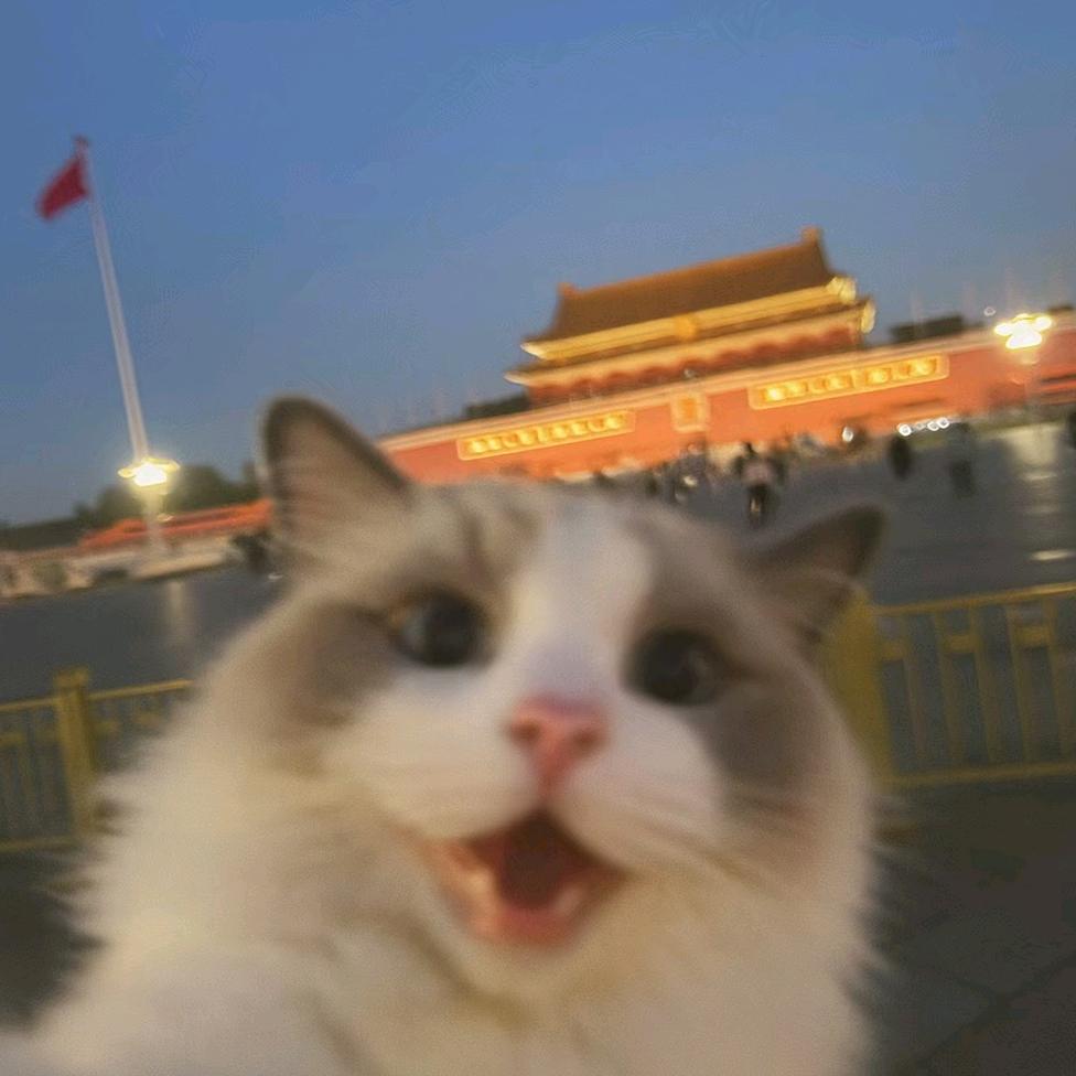 可乐gh