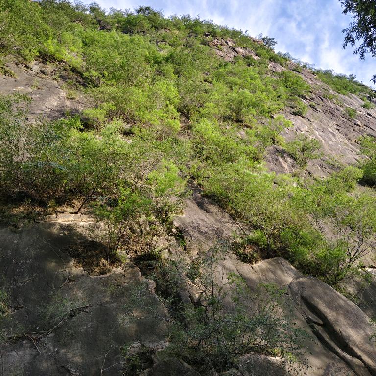 绿野太行