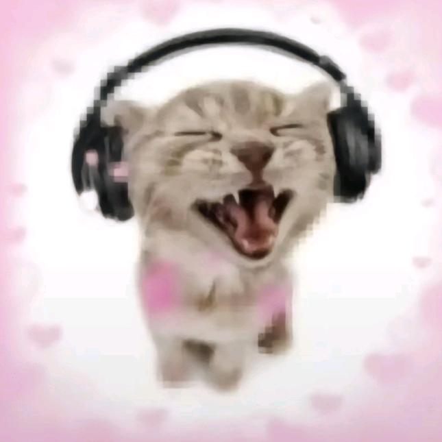 Yan^hxx🎧