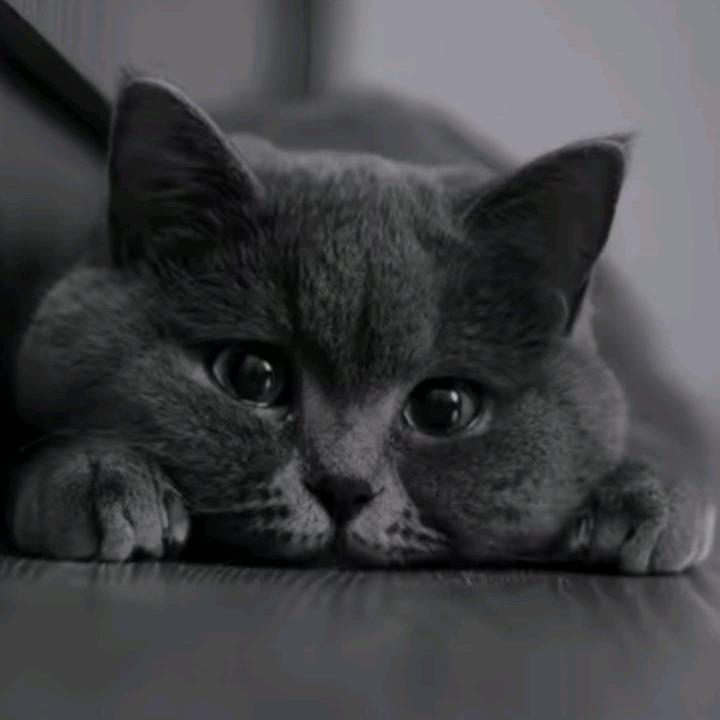 孤身一人