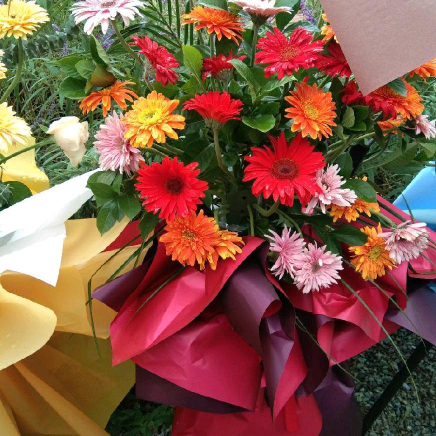 陈千利🌹🌹🌹🌹🌹🌺🌺🌺