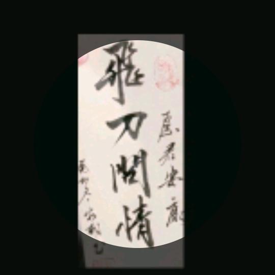 飞刀问情