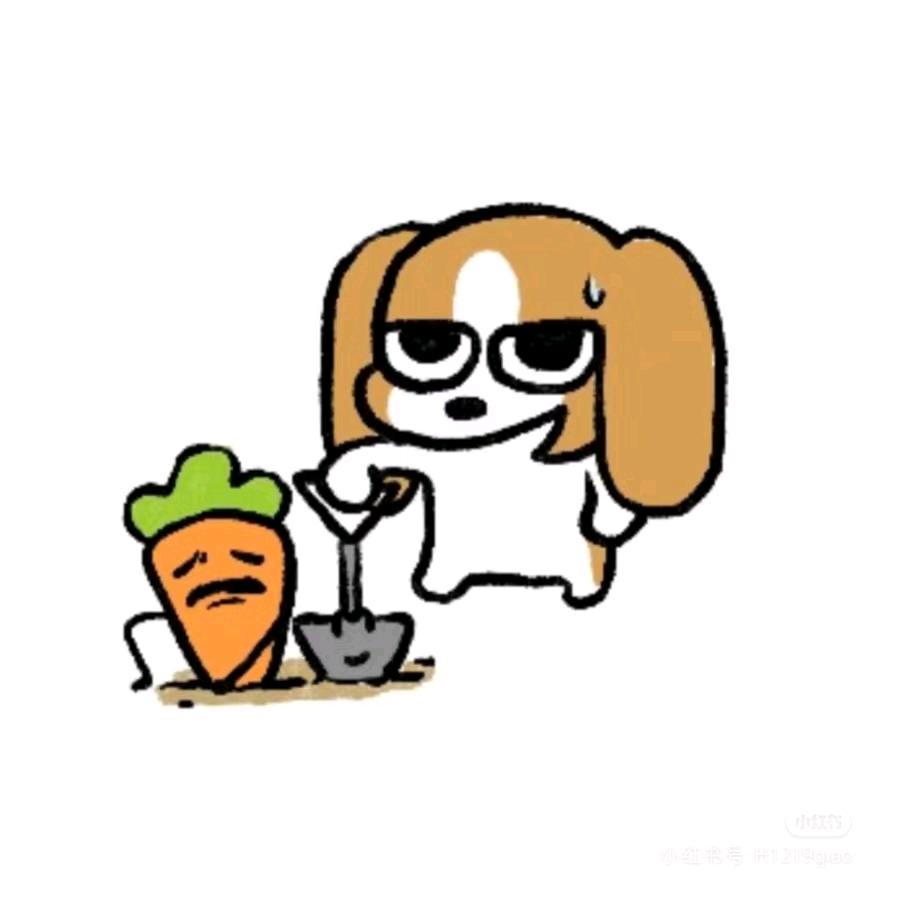 懒云窝.
