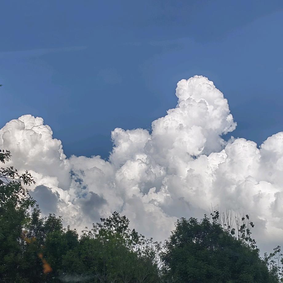 公务员返乡搞农业