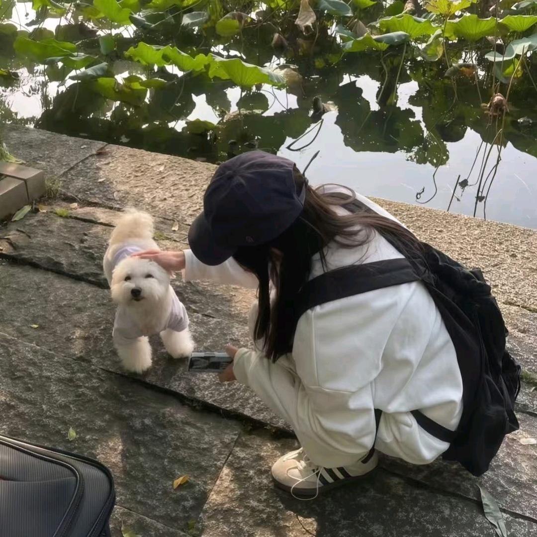 肆意💤
