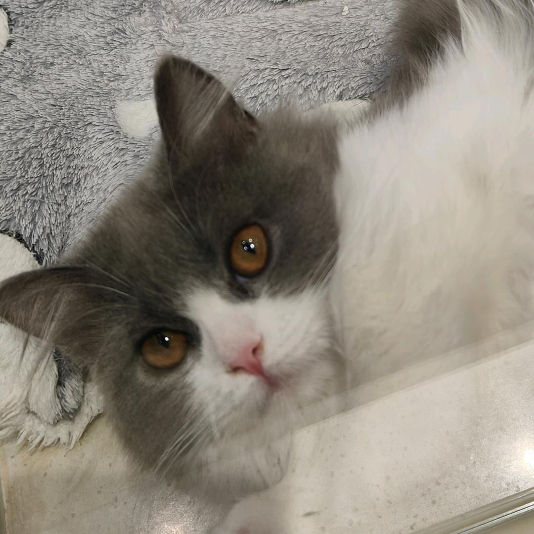 💰财神到我🏠