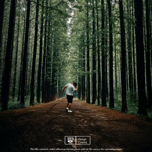 索性自挂东南枝