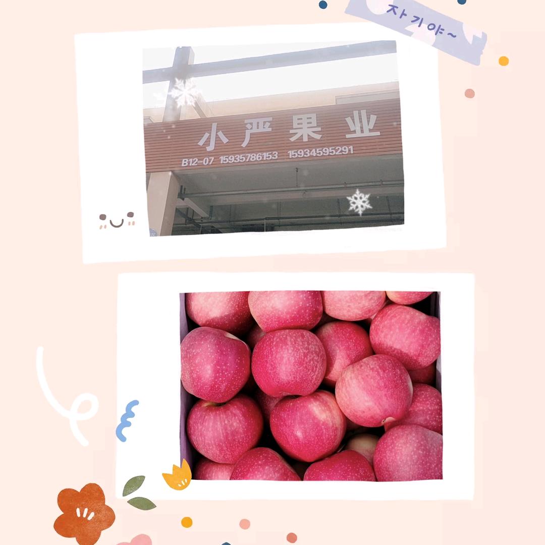 楚楚太原屯汇果蔬批发市场B12-07