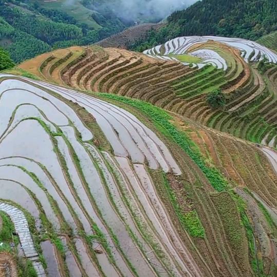 园林景观
