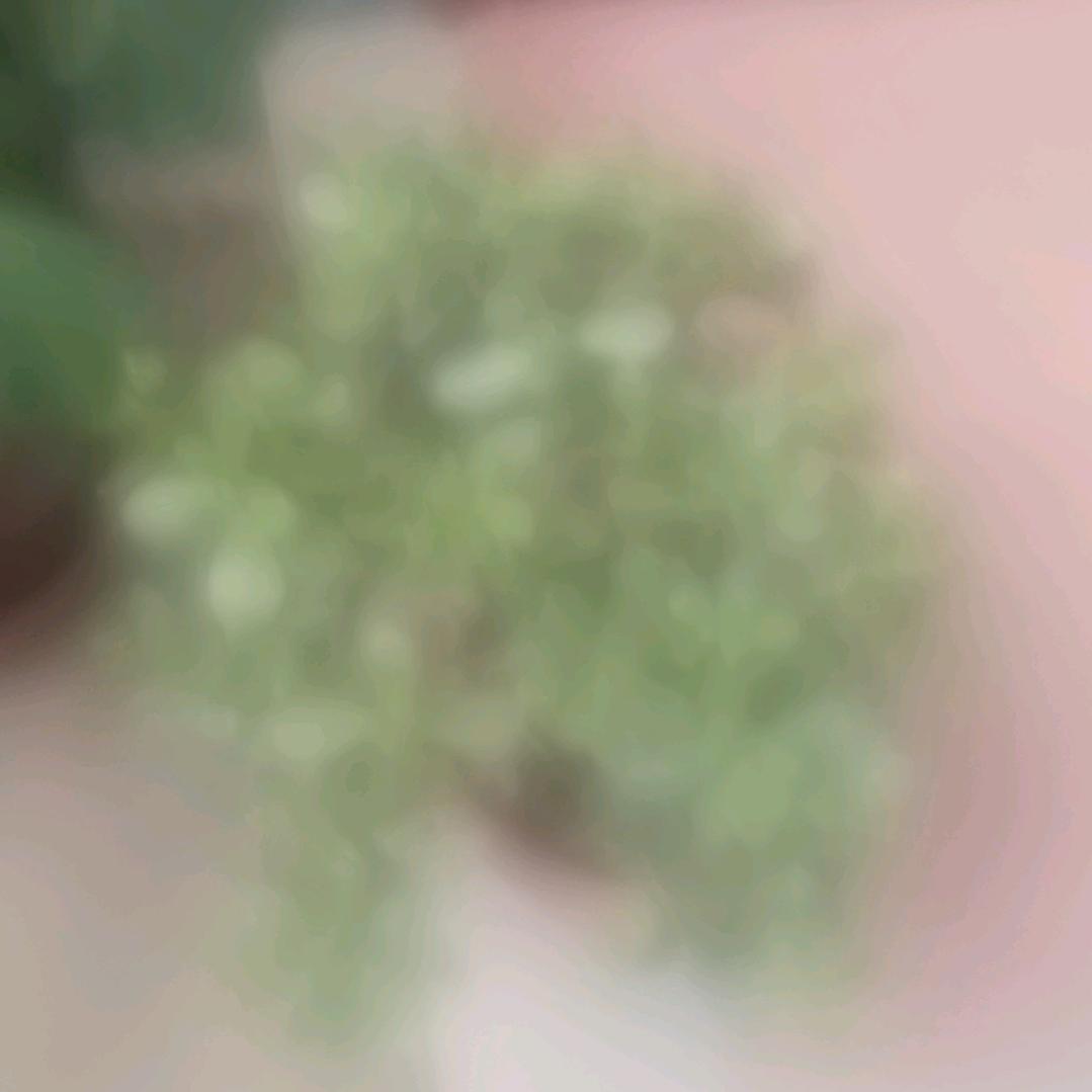 老韩