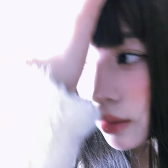 南北循环（79声粉兼颜粉）