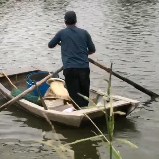阿才很快乐