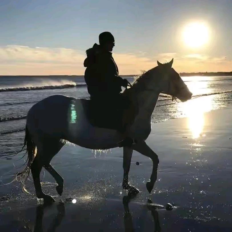 人生若只如初见