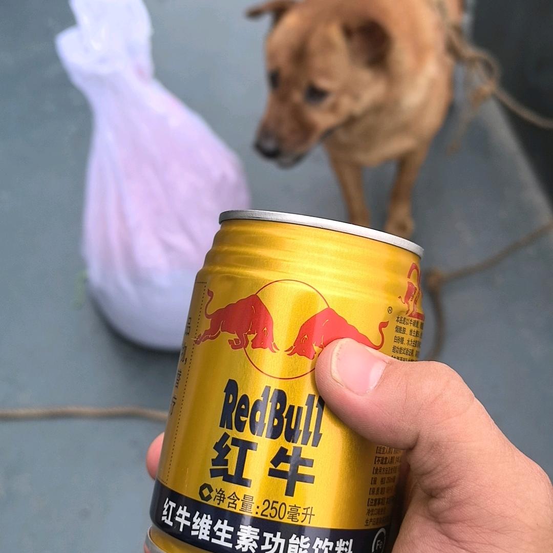 平稳村公共厕所