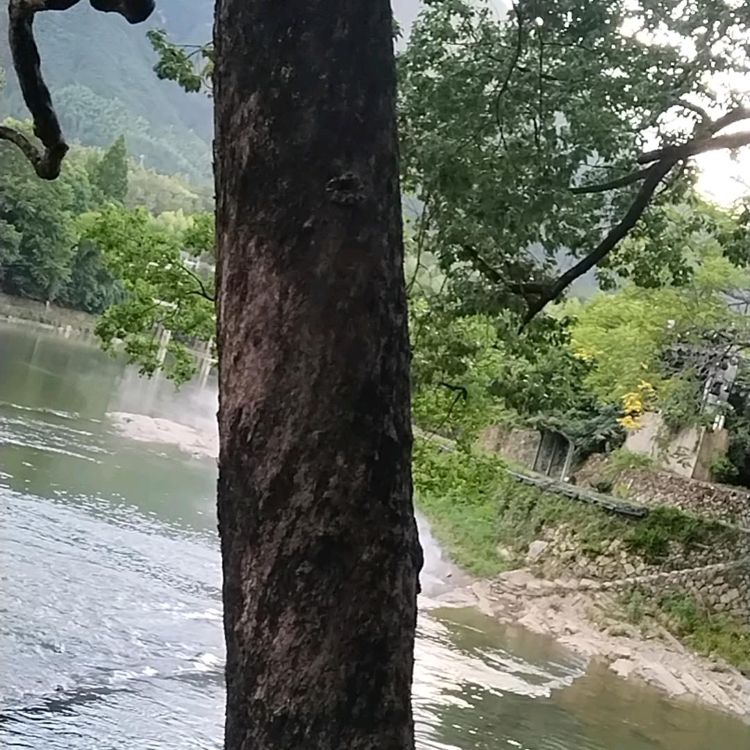 用户4626264151084100pa