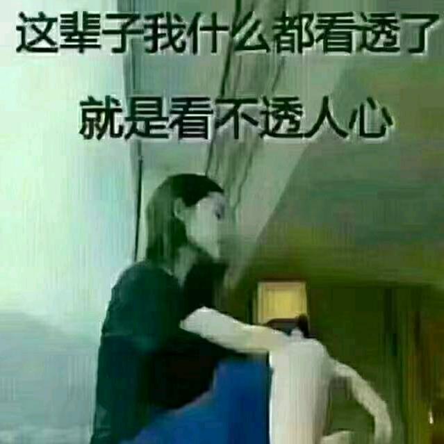 自由飞翔(不定时开播)