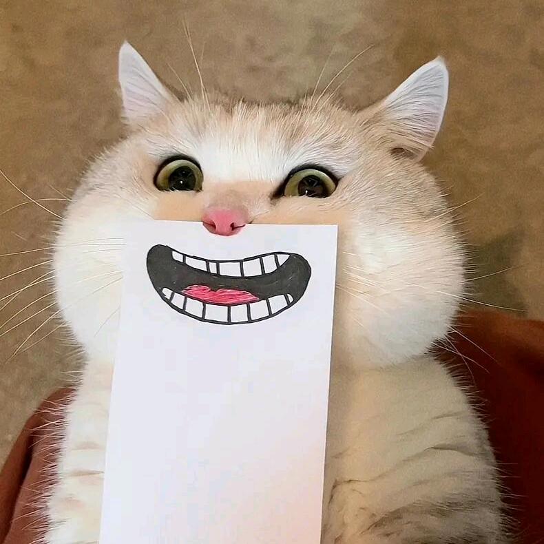 屿安