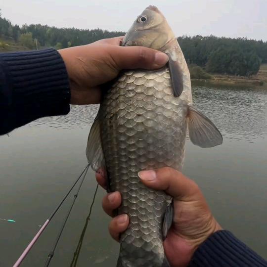 常爆护的钓鱼人