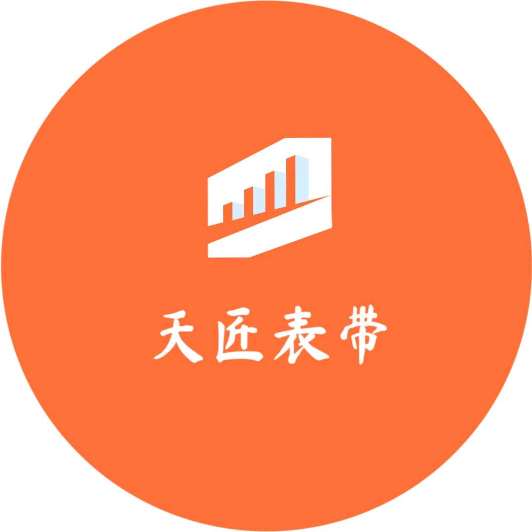 天匠表带