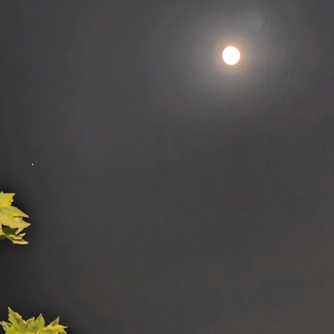 听雨阁