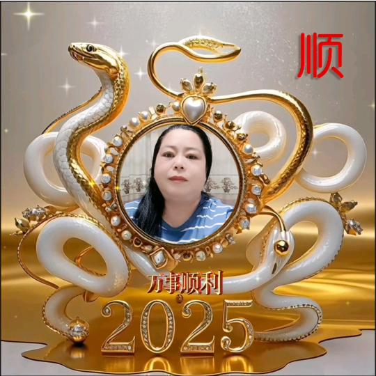 不能没有你（不加v）