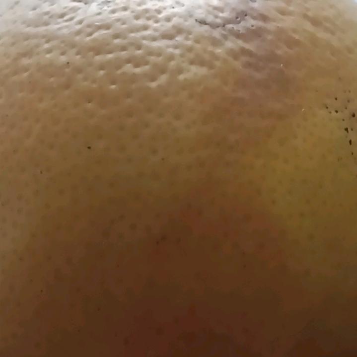 (⋟﹏⋞)