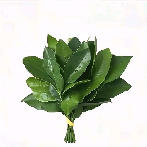 对不良诱惑说不够