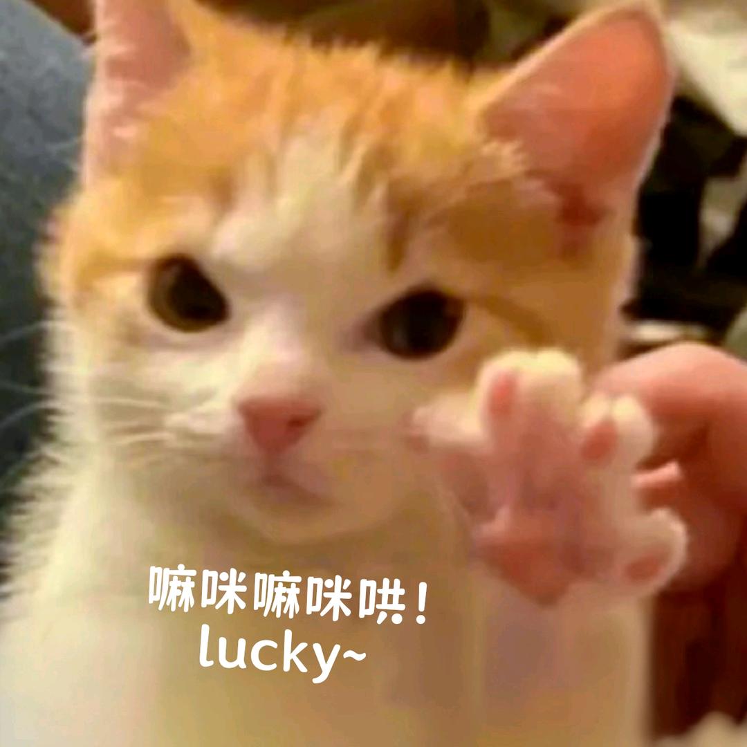 在火星是没有小鱼干de.