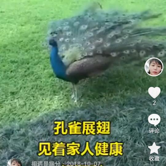 相遇是缘分