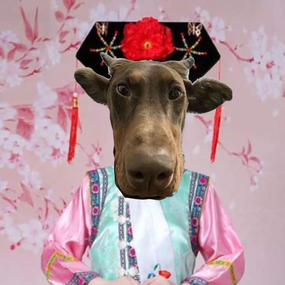 王者荣耀小社牛（抽象派）