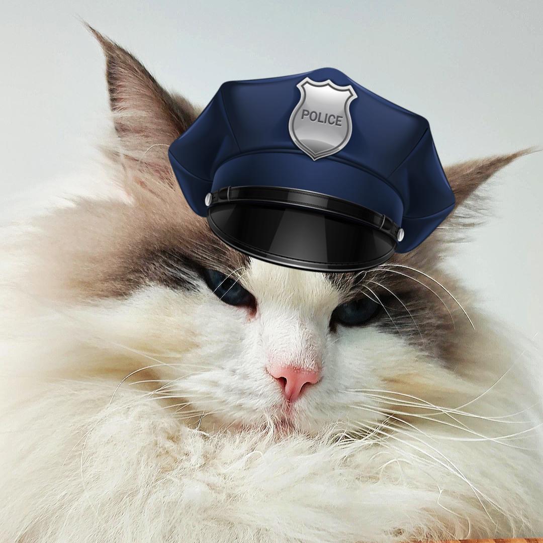 南南要开心