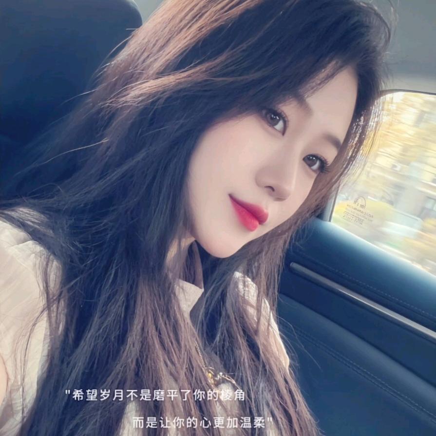 鲨鱼贝贝