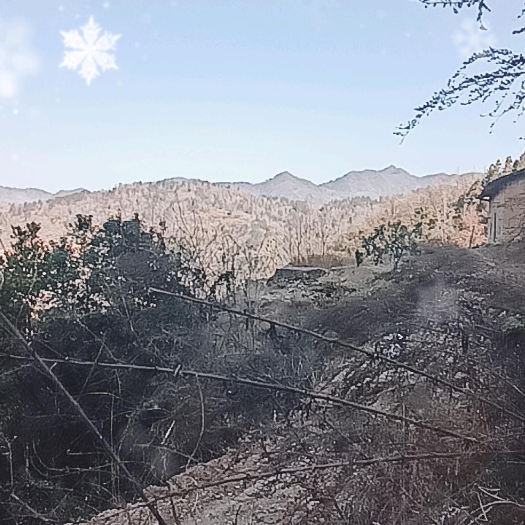 花有重开日    人已非少年。