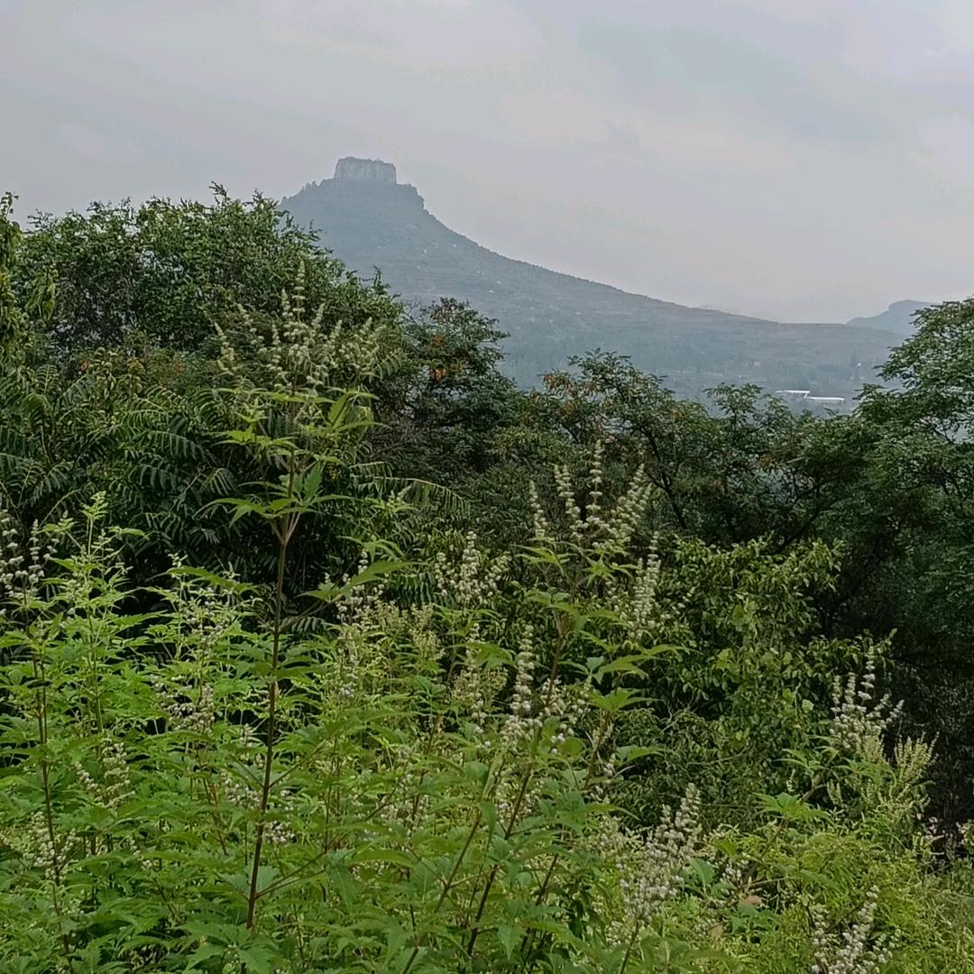 @沂蒙山