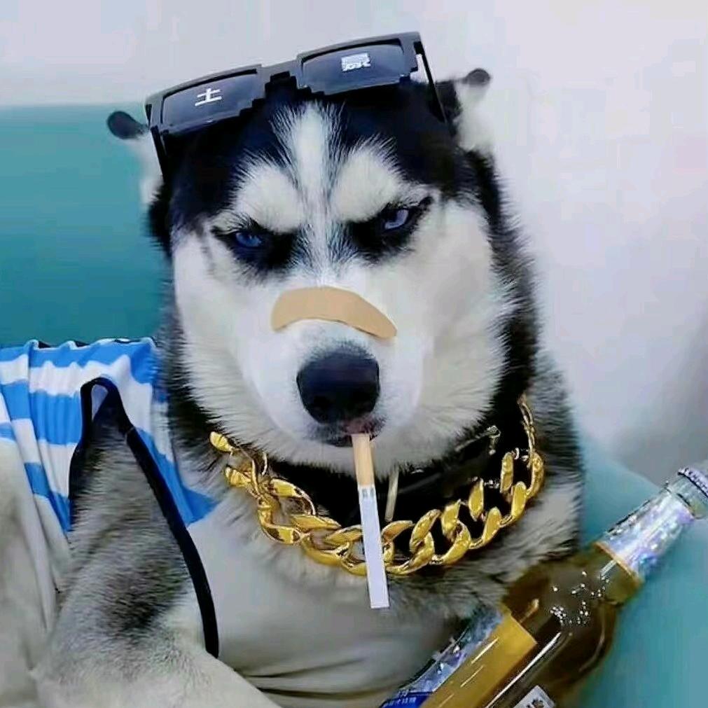 林时有事❛‿˂̵✧